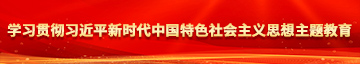 亚洲大吊在线播放学习贯彻习近平新时代中国特色社会主义思想主题教育